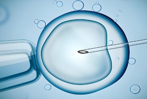 案例